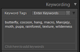 lightroom keyword manager